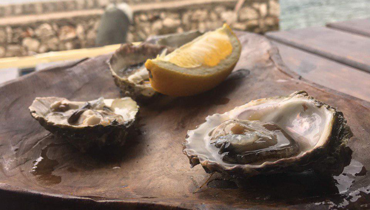 Кто кого съест