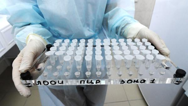 Минздрав: в Прикамье может появиться интраназальная вакцина от коронавируса