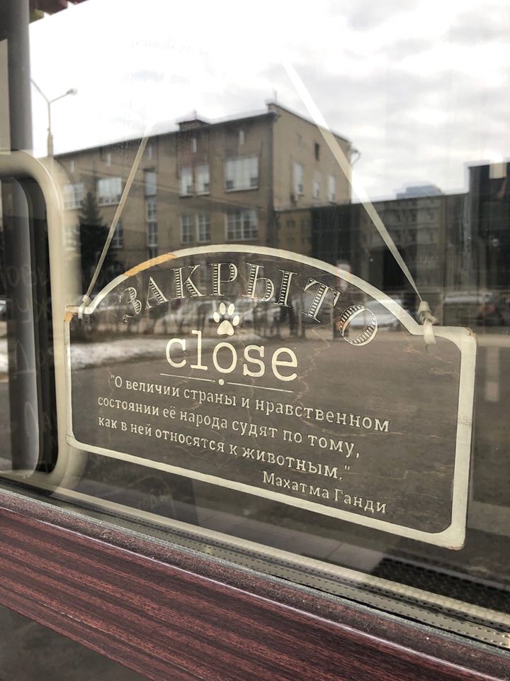 Груминг-салон для&nbsp;животных обратился к&nbsp;краевому правительству с&nbsp;просьбой разрешить бесконтактную работу