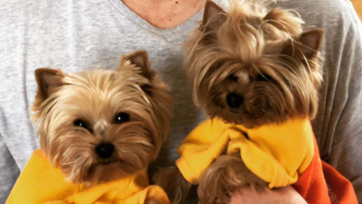 Лучший друг изолянта 