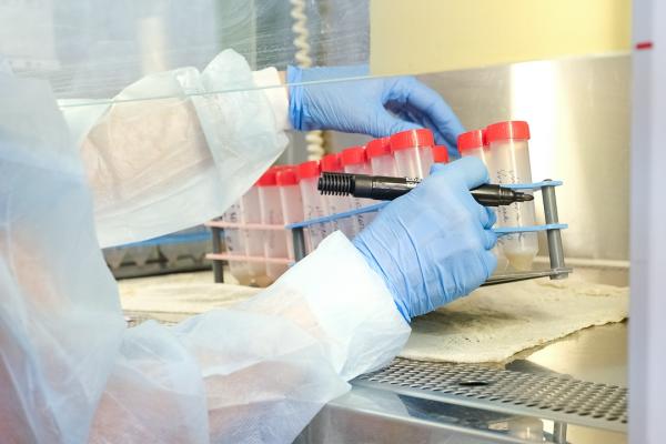 За сутки новые заражения коронавирусом зафиксированы в 14 муниципалитетах Прикамья