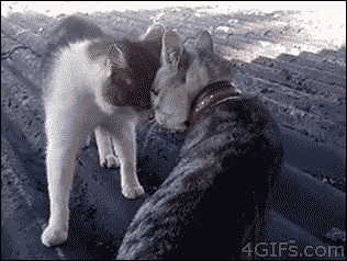 Обзор: самые интересные новости за неделю с 18 по 24 марта