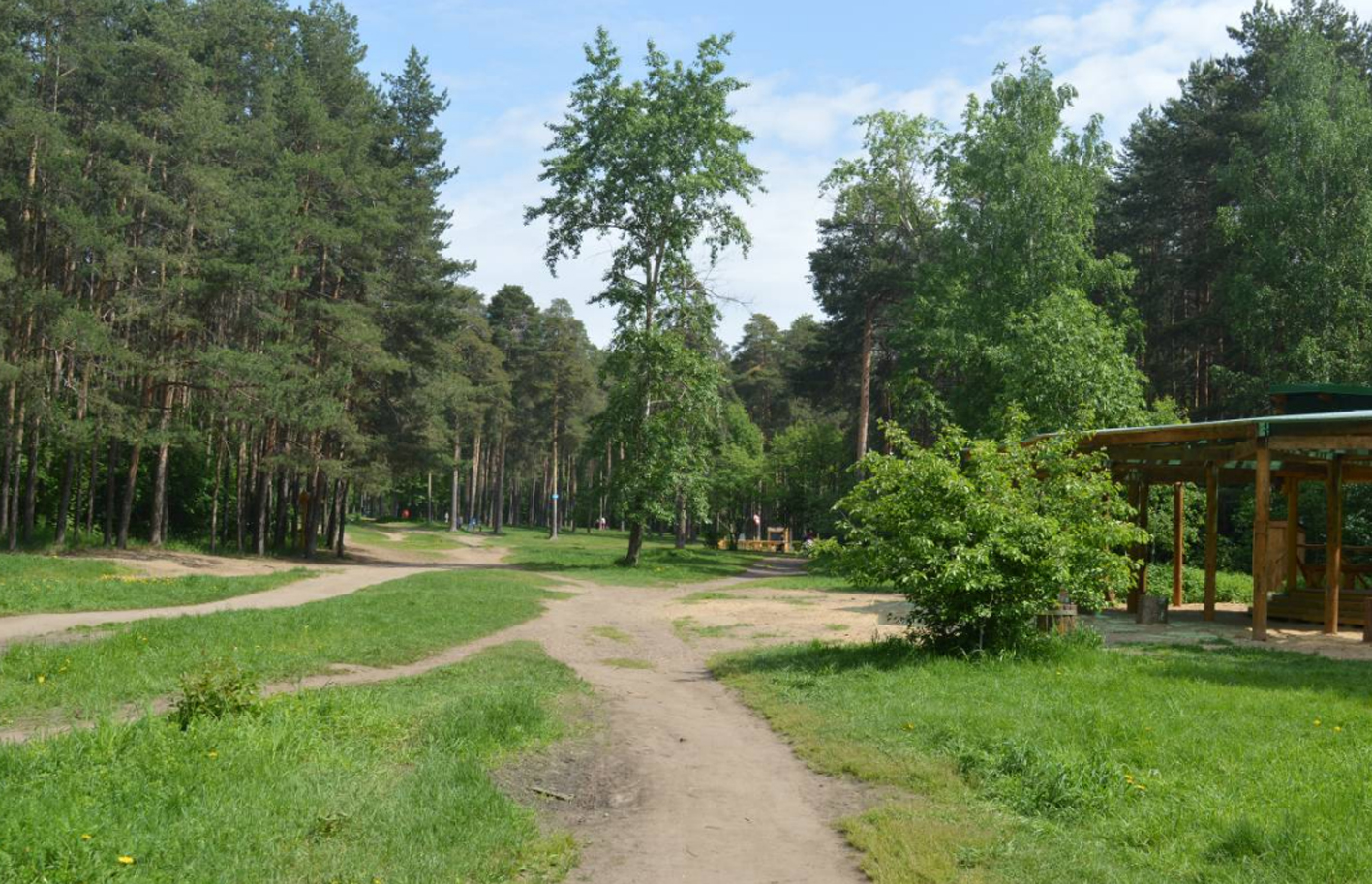 УФАС: на Пермэнергосбыт поступают жалобы из-за массового отключения электроэнергии в СНТ