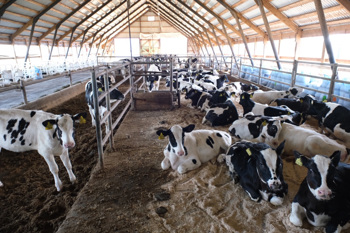 Закупки на поставку продукции в местные школы и больницы станут доступны аграриям Прикамья<div><br></div>