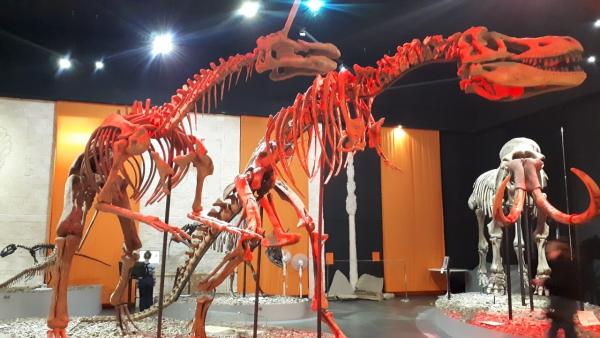 В Перми планируют построить новый палеонтологический музей