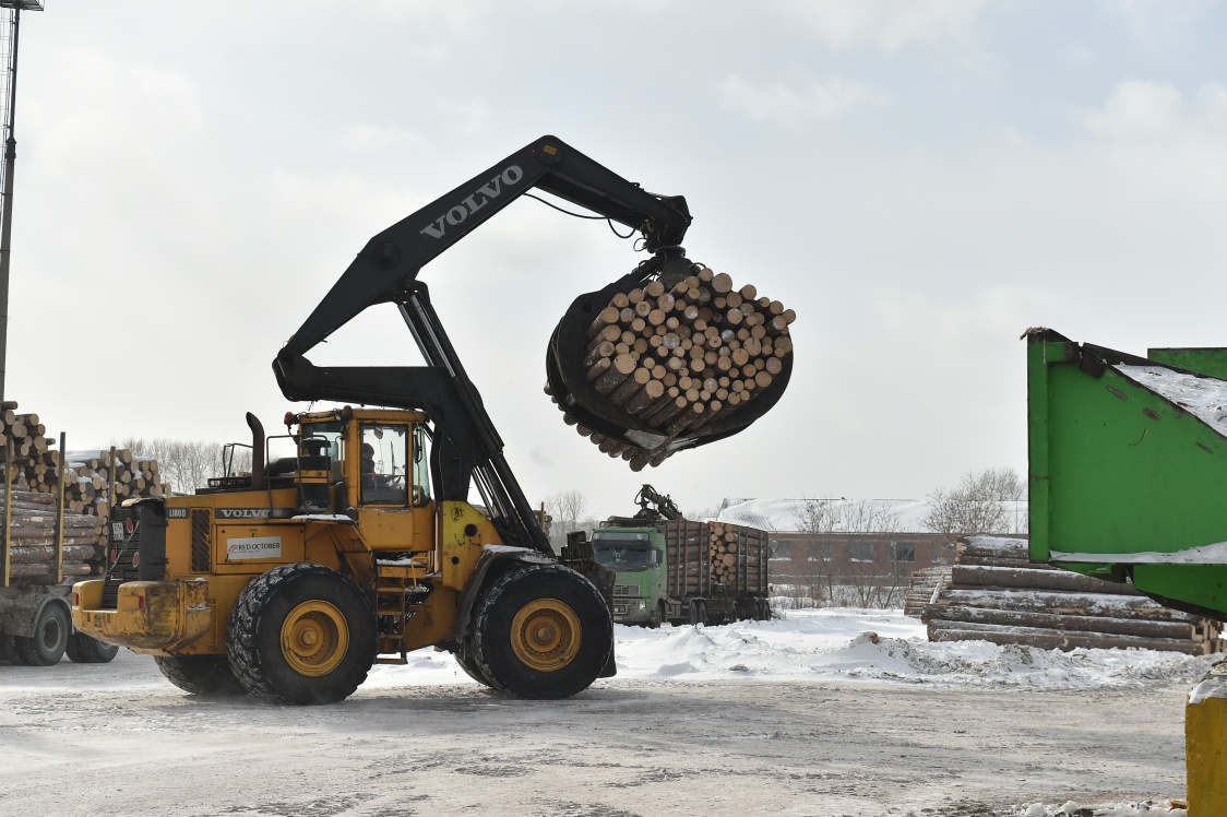 В Прикамье впервые на Урале внедрено фотовидеоотслеживание незаконной рубки леса<div><br></div>