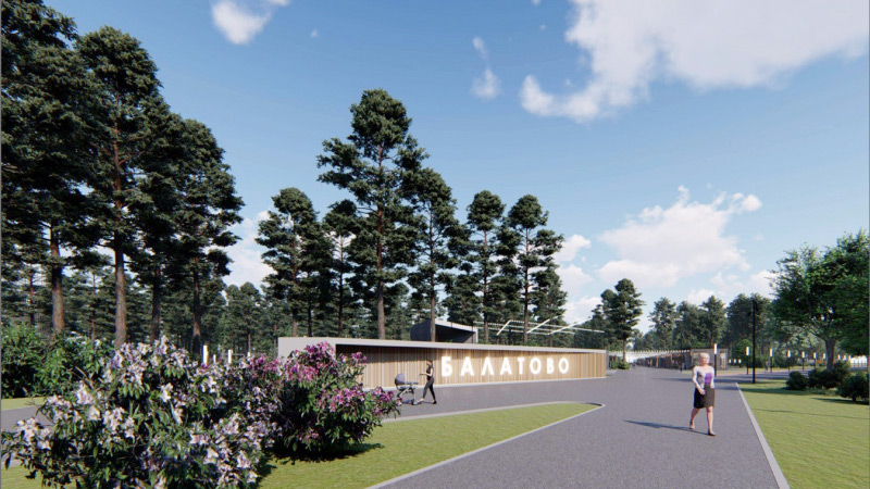 Лес как точка притяжения