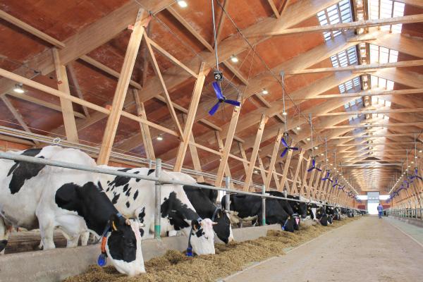 Инвестиции в новый молочно-товарный комплекс составят 2,4 млрд руб. 