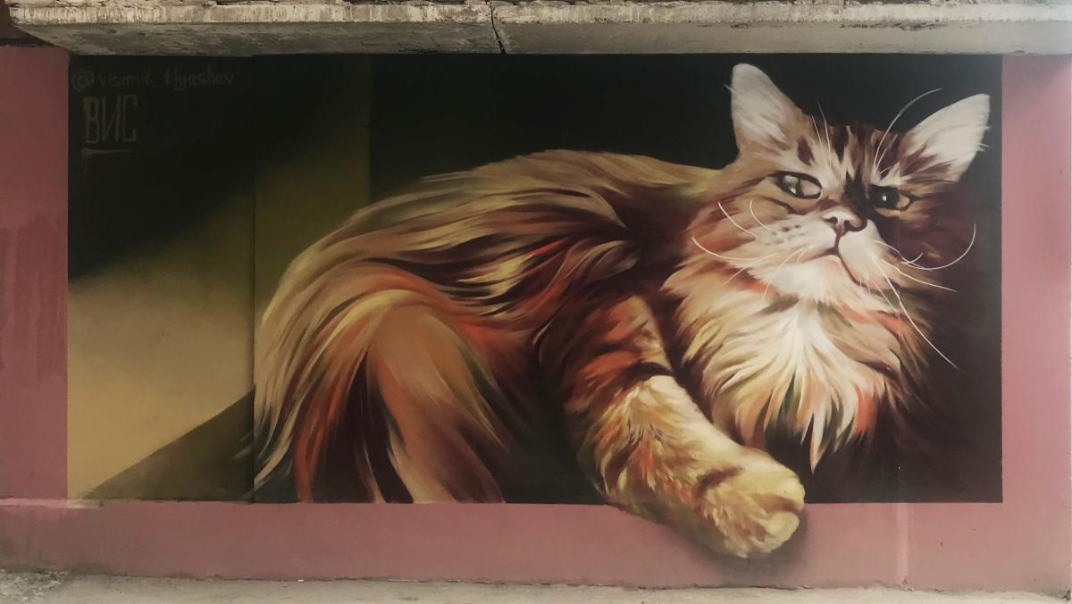Графити кот
