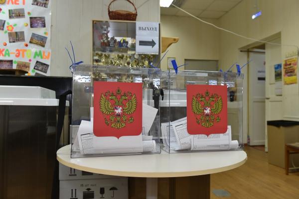 Дистанционного голосования и сбора подписей через «Госуслуги» на выборах-2021 в Пермском крае не будет