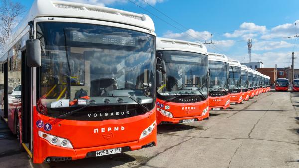 Общественный транспорт Перми «просел» на 80 млн пассажиров