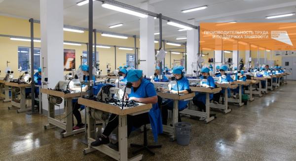 Участниками нацпроекта «Производительность труда и поддержка занятости» до конца года станут более 90 компаний из Прикамья