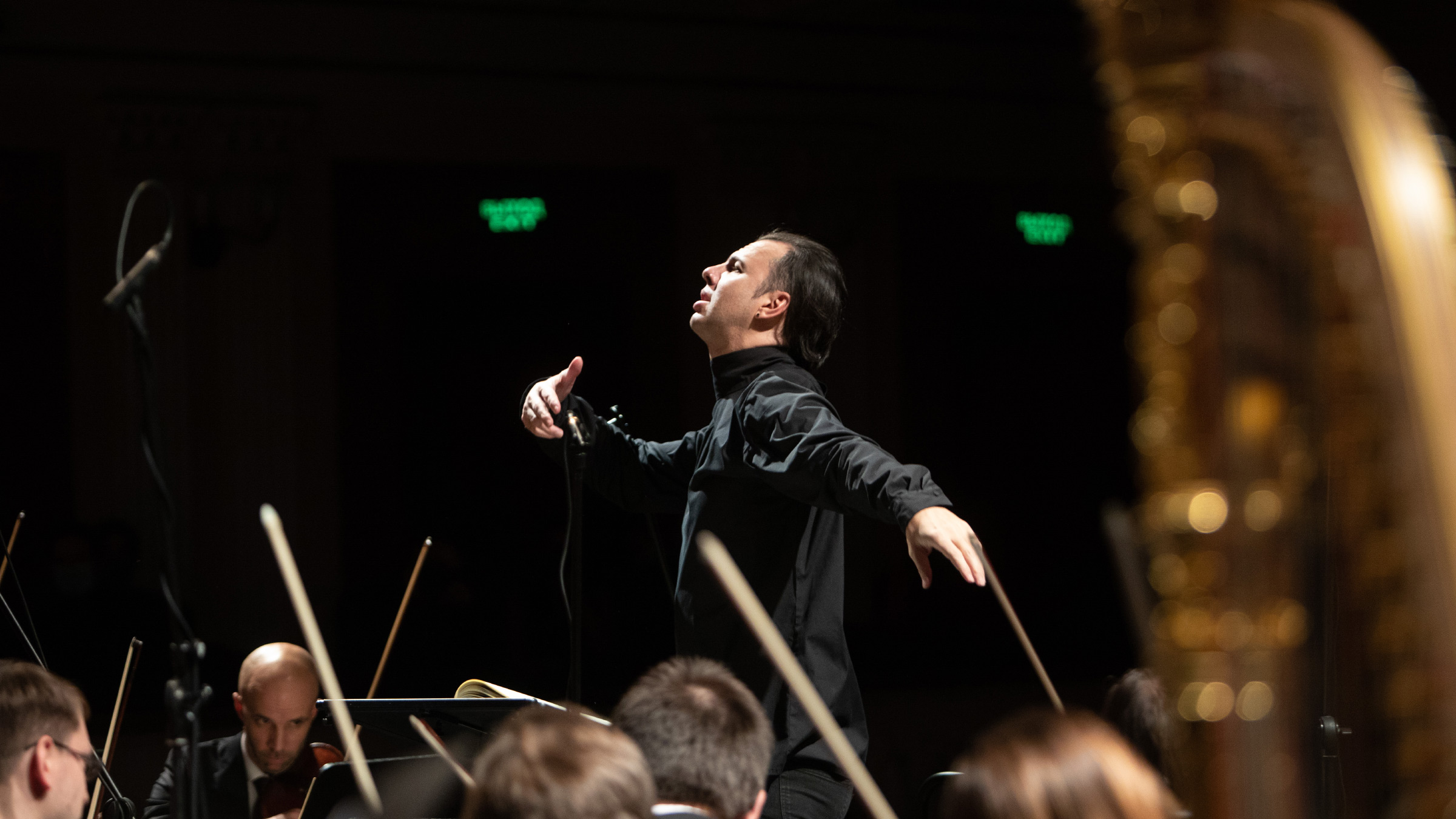 Гармоничность парадокса