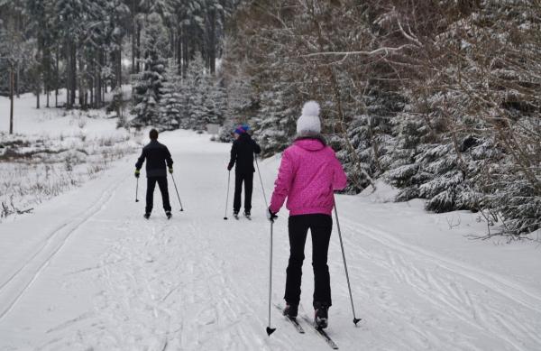 <div>Закрытую из-за волка лыжную базу в Пермском крае снова разрешили посещать спортсменам</div>