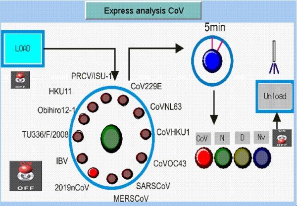 Исследователи ПНИПУ разработали экспресс-анализатор коронавирусов
