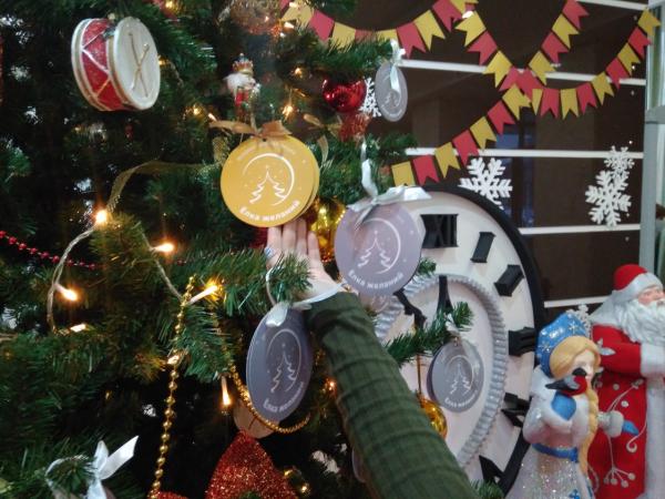 Жители Прикамья могут сдать новогодние ёлки на переработку