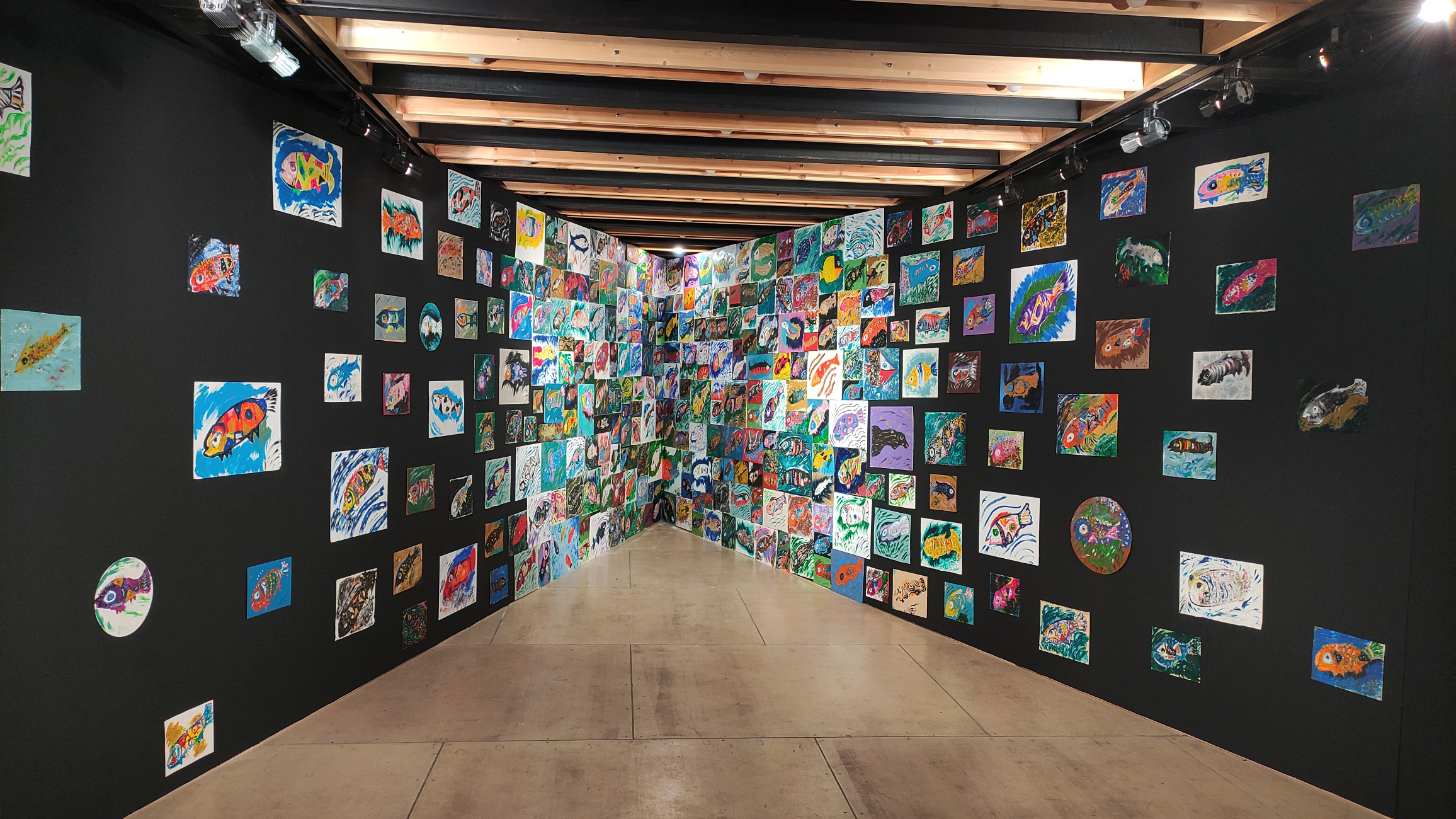 Рыбы приходят из воздуха