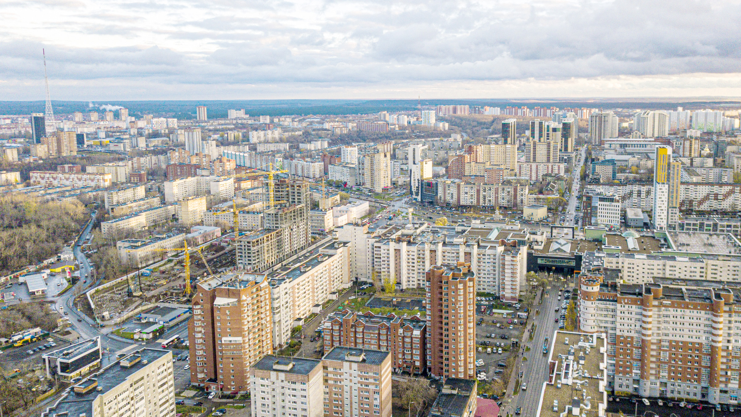 Устойчивость к карантину