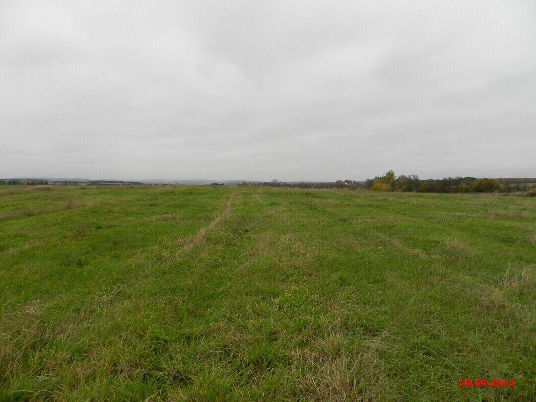 Городище Болдино признано краевым объектом культурного наследия