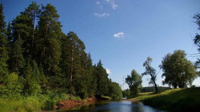 
Краевой парламент поддержал инициативу об объединении поселений Большесосновского района