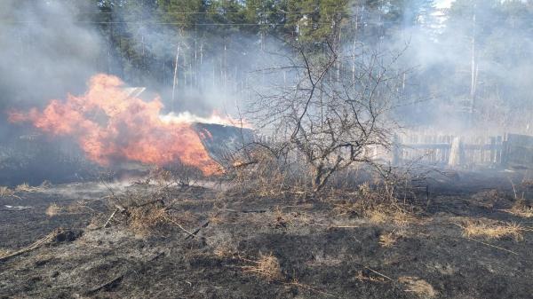 Лесной пожар в Чайковском округе ликвидирован