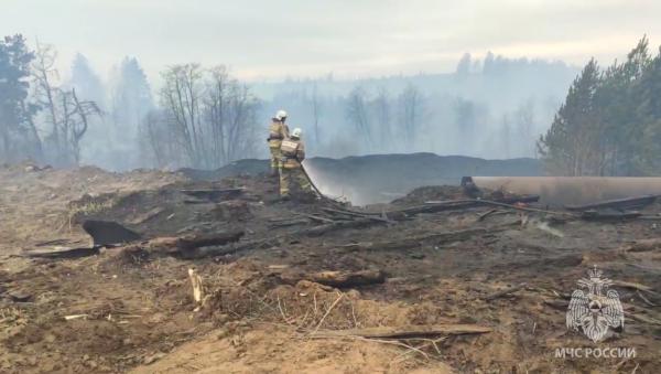 Лесной пожар под Чайковским перекинулся на пилораму