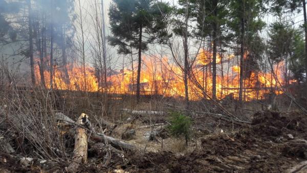 Лесной пожар под Краснокамском локализован
