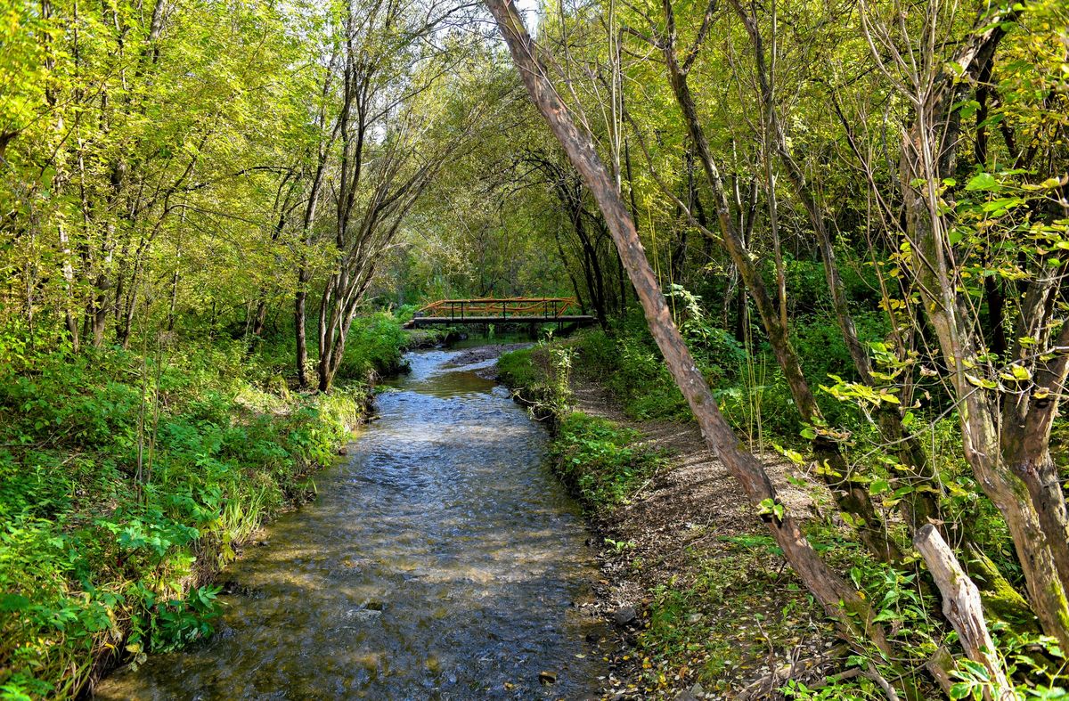 Река данилиха пермь