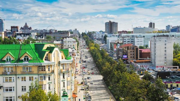 С 15 июня на Комсомольском проспекте в Перми начнётся снос аварийных деревьев 