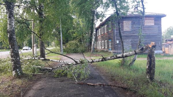 В Красновишерском округе без электричества остались более 20 домов