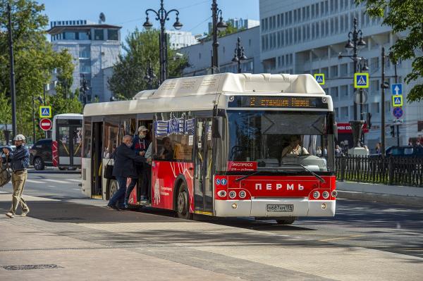 В Перми автобусы № 4 и 67 перенаправят с ул. Пушкина на ул. Революции  