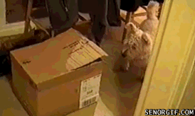 Обзор: самые интересные новости за неделю с 8 по 14 апреля