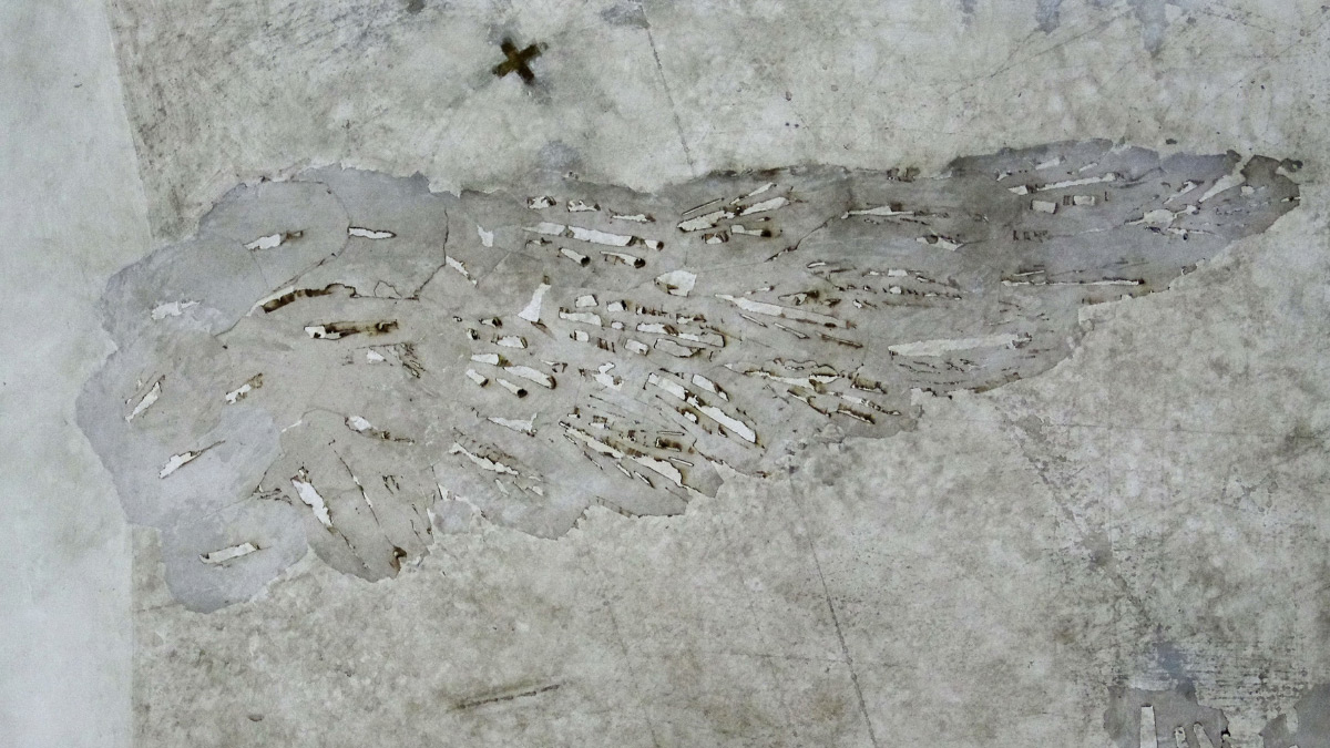 Встать на крыло