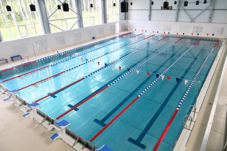 Строительство бассейна на Гайве в Перми обойдётся бюджету края в 900 млн рублей