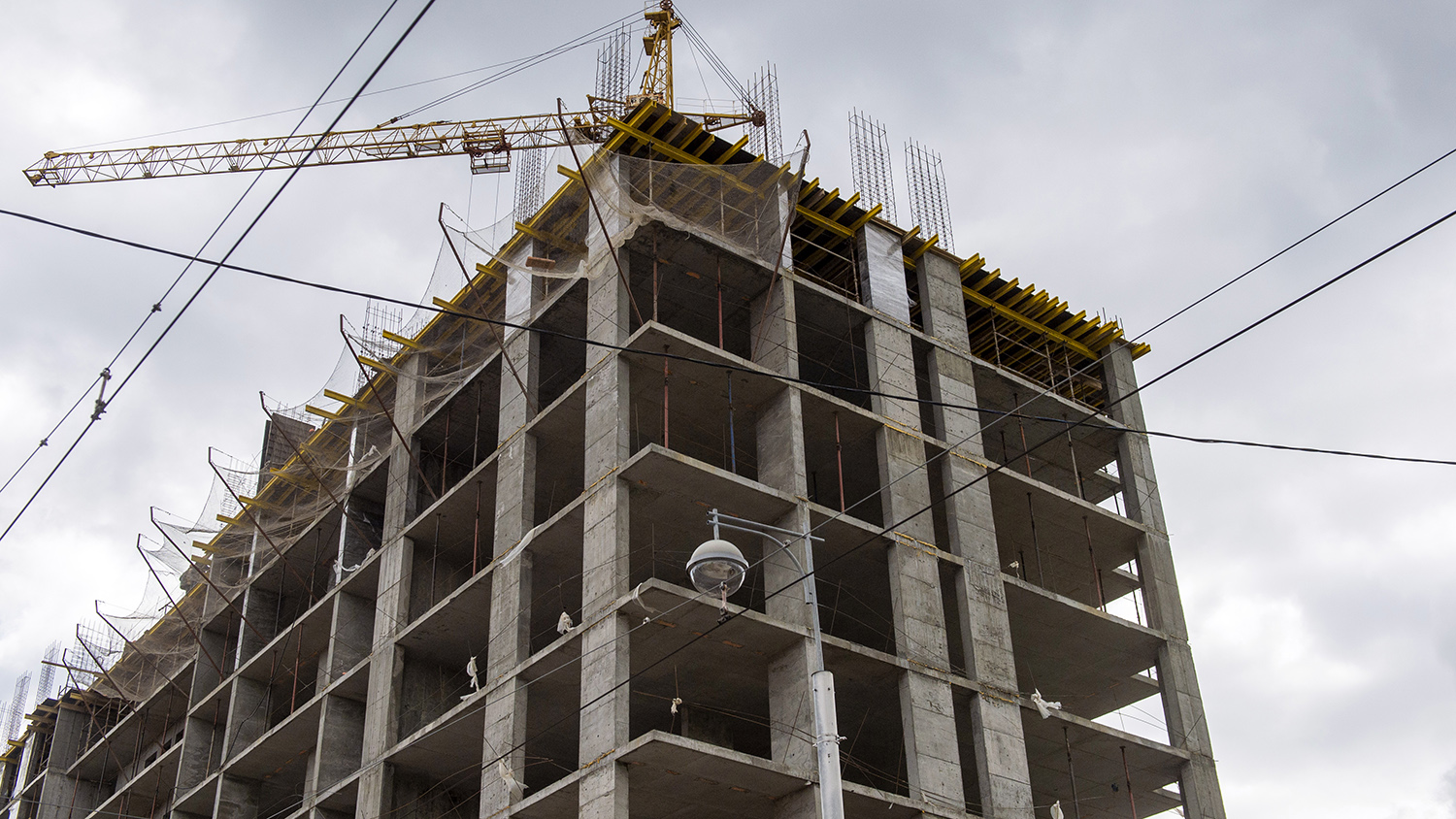 Крупные застройщики Прикамья уличены в нарушениях природоохранного законодательства