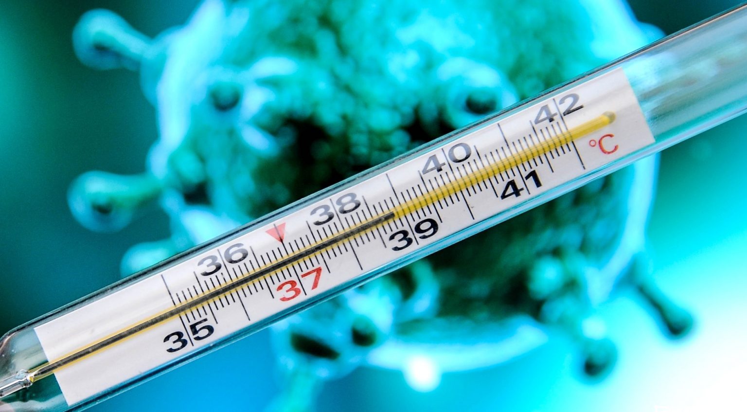 За последнюю неделю года в Прикамье увеличилась доля заболевших гриппом