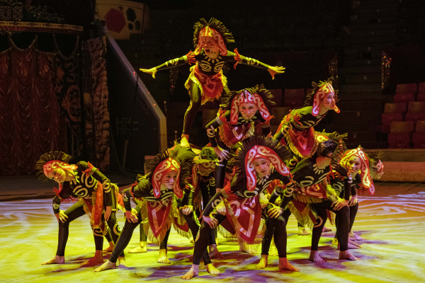 Шоу главного детского циркового фестиваля Прикамья можно будет увидеть в режиме онлайн