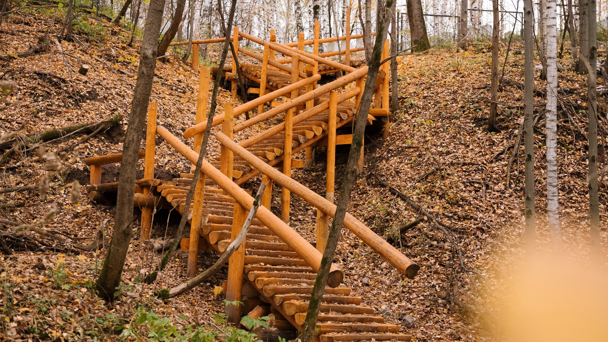 <div>В Перми создадут три новых ООПТ регионального значения</div>