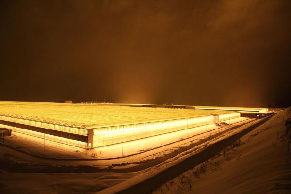 В Чусовом официально открыли самый крупный в регионе тепличный комплекс <div><br></div>