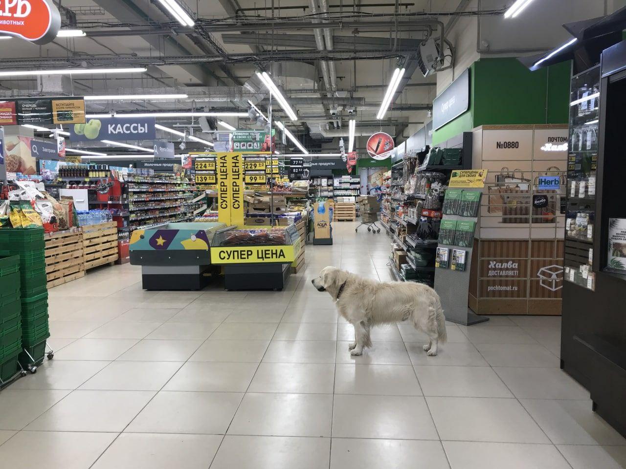 За неделю в УФАС поступило более 200 жалоб из-за роста цен на продукты