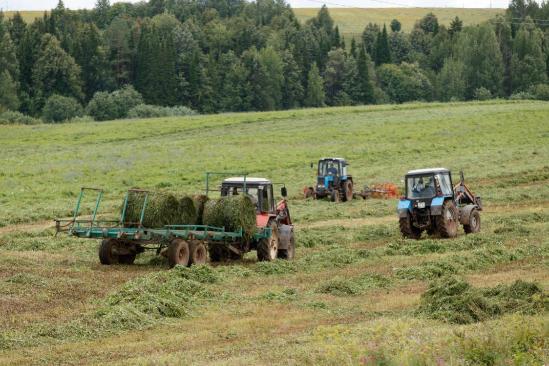 В этом году аграрии края получат свыше 3 млрд руб. в качестве господдержки
