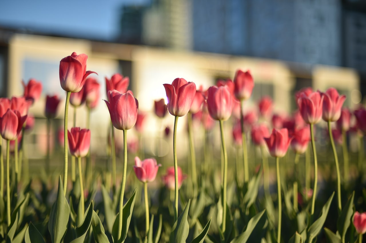 Спрос на подготовку земельных участков в Перми вырос в шесть раз