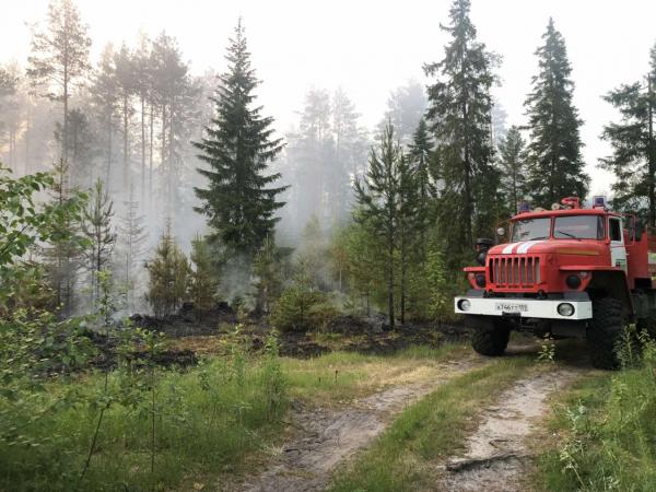 За сутки в Пермском крае произошло два лесных пожара