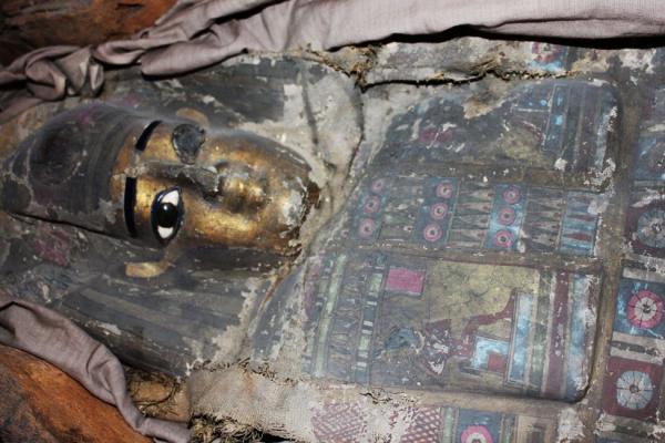Пермская галерея организует выставку с мумиями в помещениях «Телты»