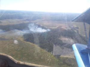 В Прикамье зарегистрирован двадцатый с начала года лесной пожар