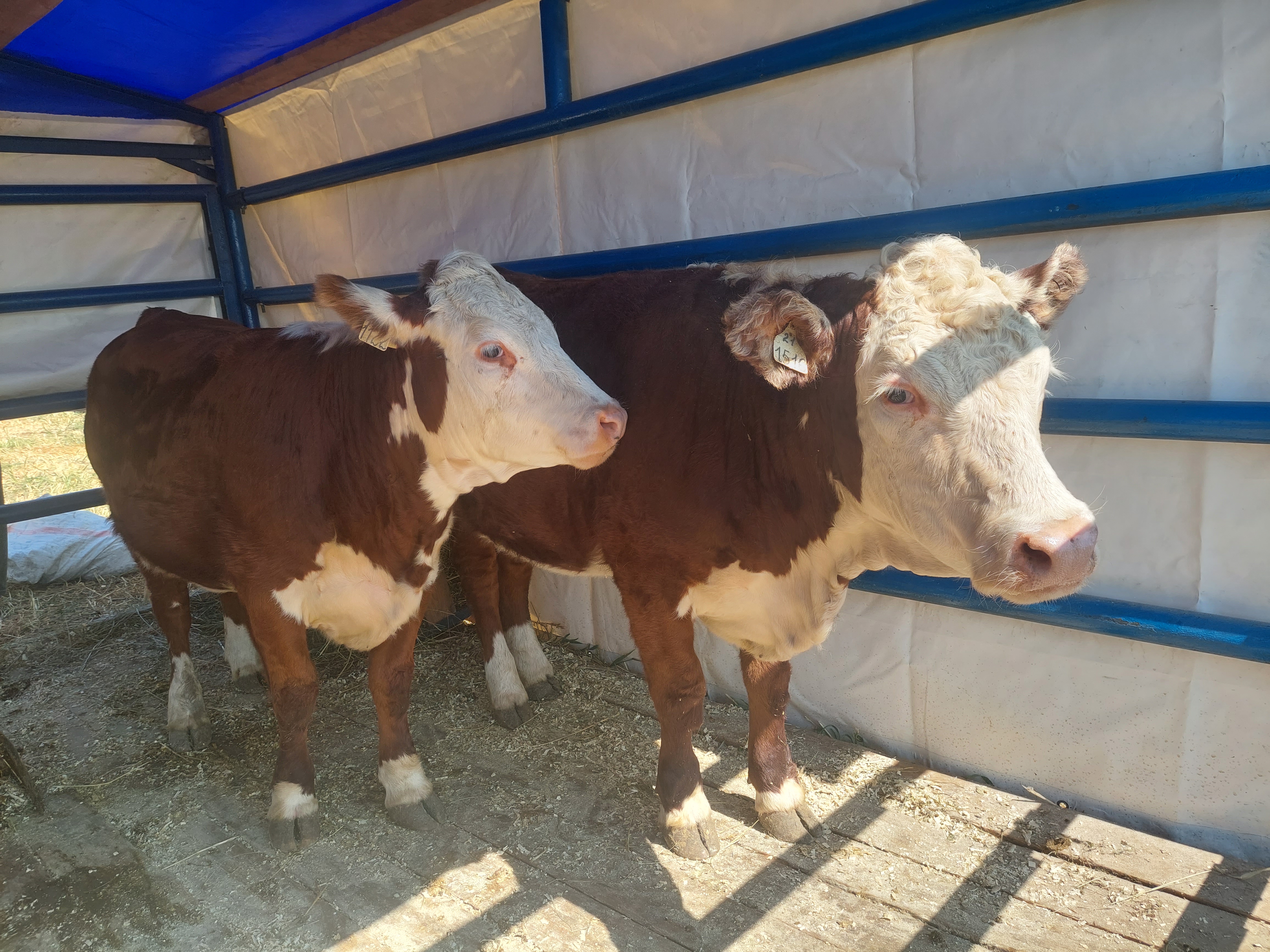 Инвестиции в агро