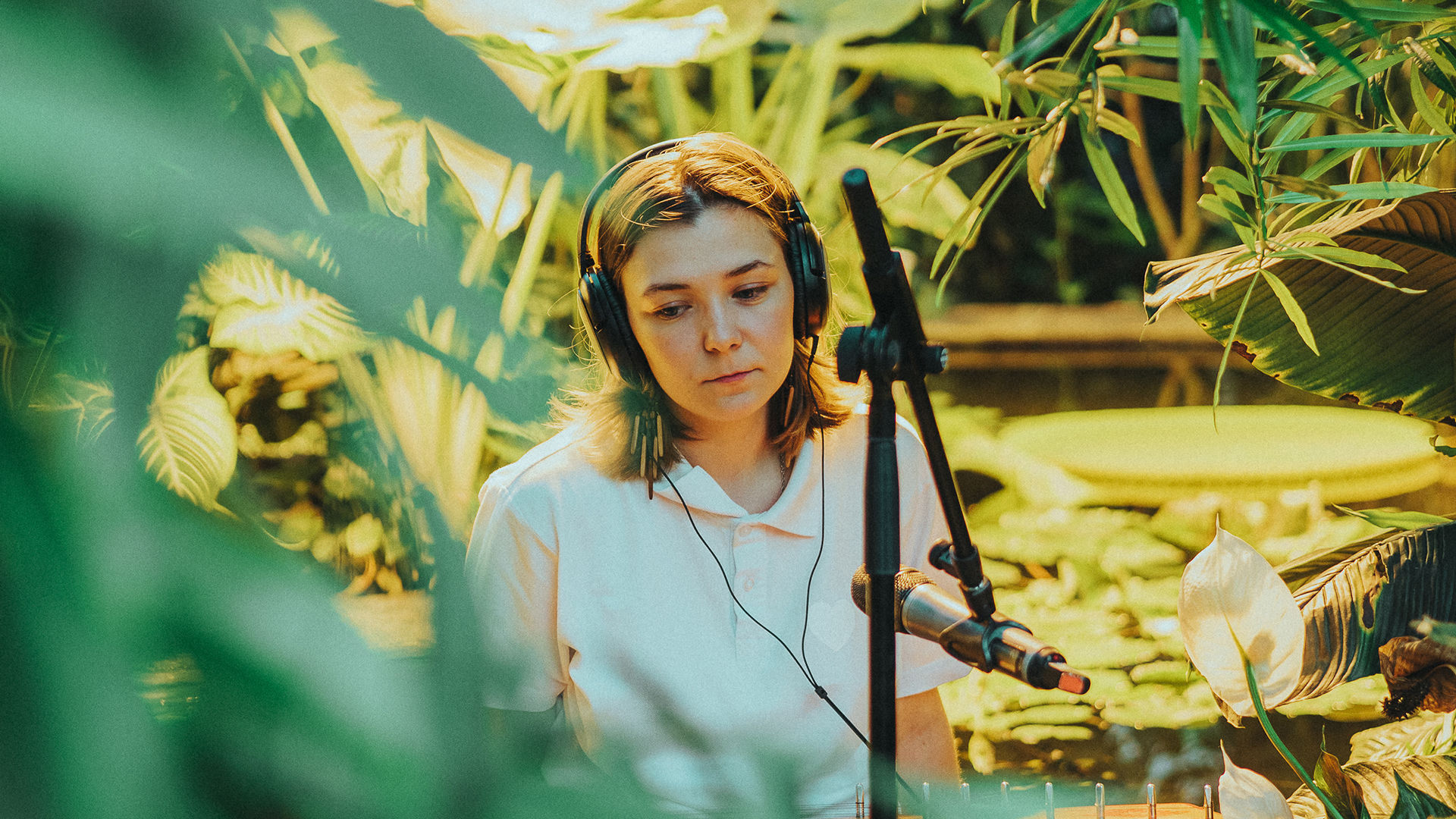 По дороге с птицами