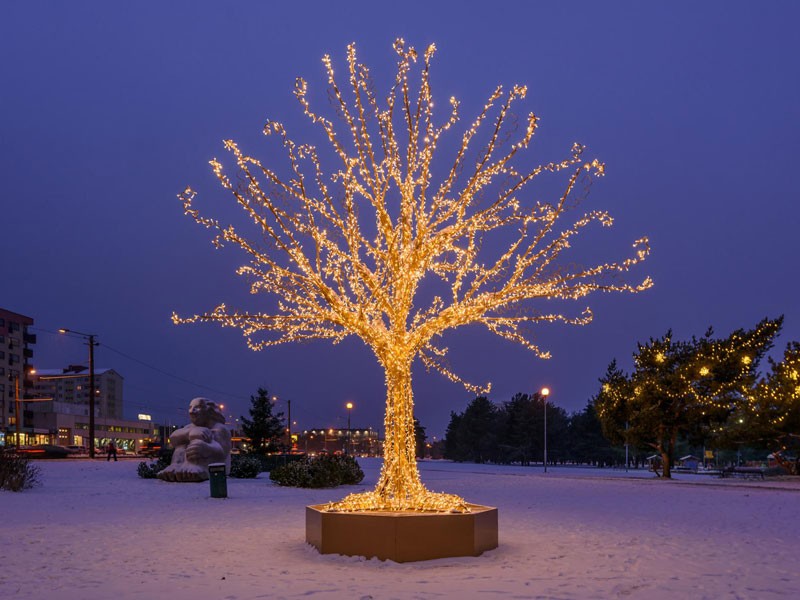 «ПермьПарк» ищет поставщика «Светового дерева»