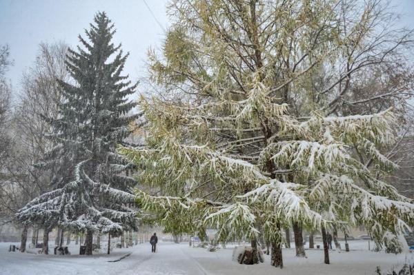 В Прикамье в выходные ожидается похолодание до −21 градуса 