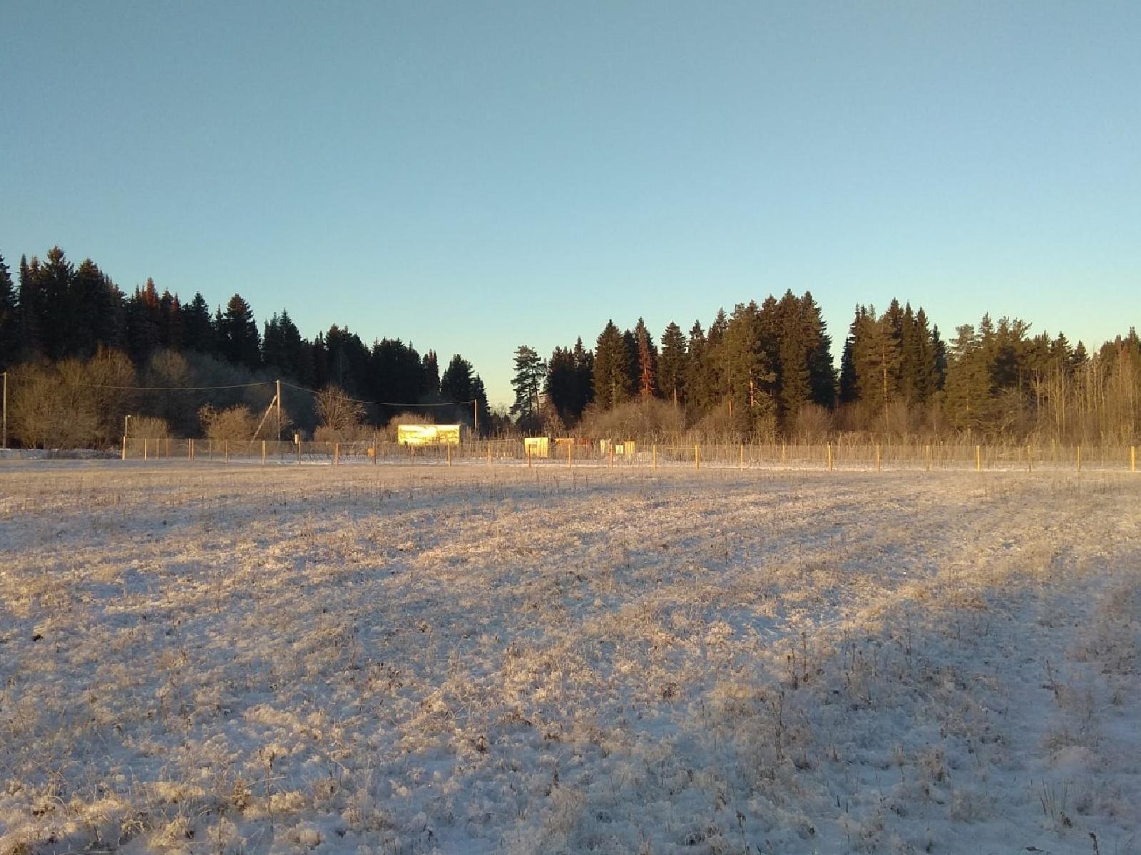 Проектированием пермского питомника растений займётся ООО «ИнвестПроект»